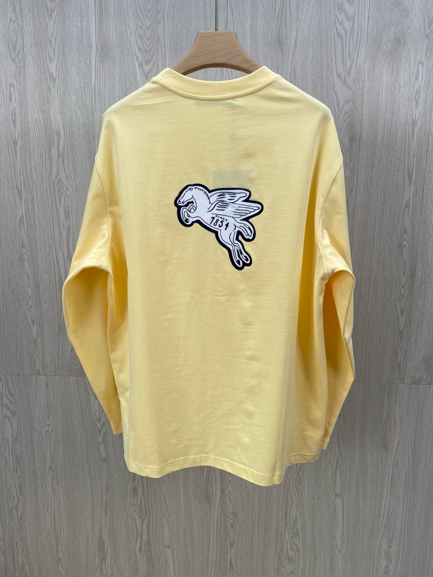 Pegasus long sleeves