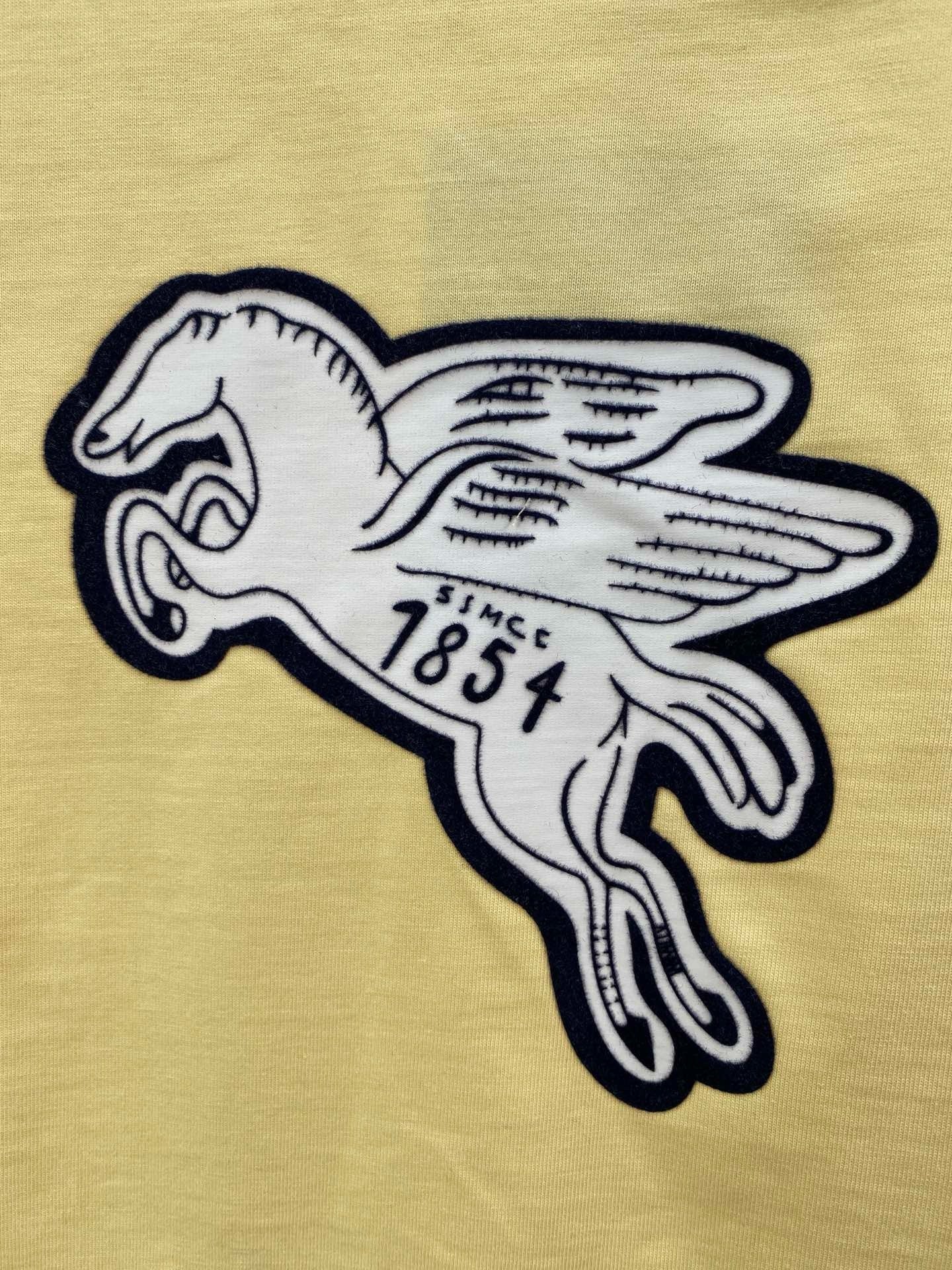 Pegasus long sleeves
