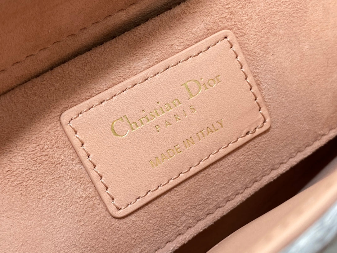 26SS NEW Limited edition handbag