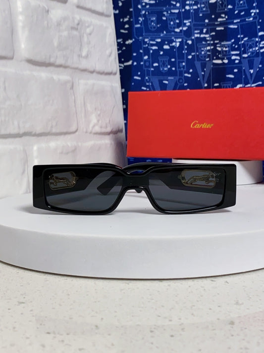 26SS NEW Sunglasses