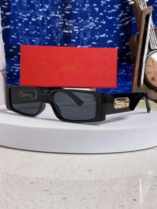 26SS NEW Sunglasses